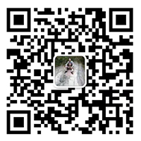 杭州雄晟建筑機(jī)械租賃有限公司
